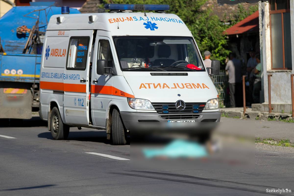 •  Fotó: Pál Árpád