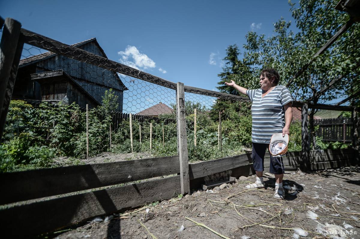 A kerítésen, amelyet nem sokkal érkezésünk előtt állítottak vissza, még látszanak a medve karomnyomai •  Fotó: Barabás Ákos