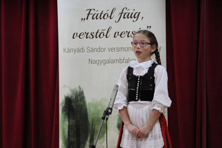 Verseivel köszöntötték Kányádi Sándort Nagygalambfalván