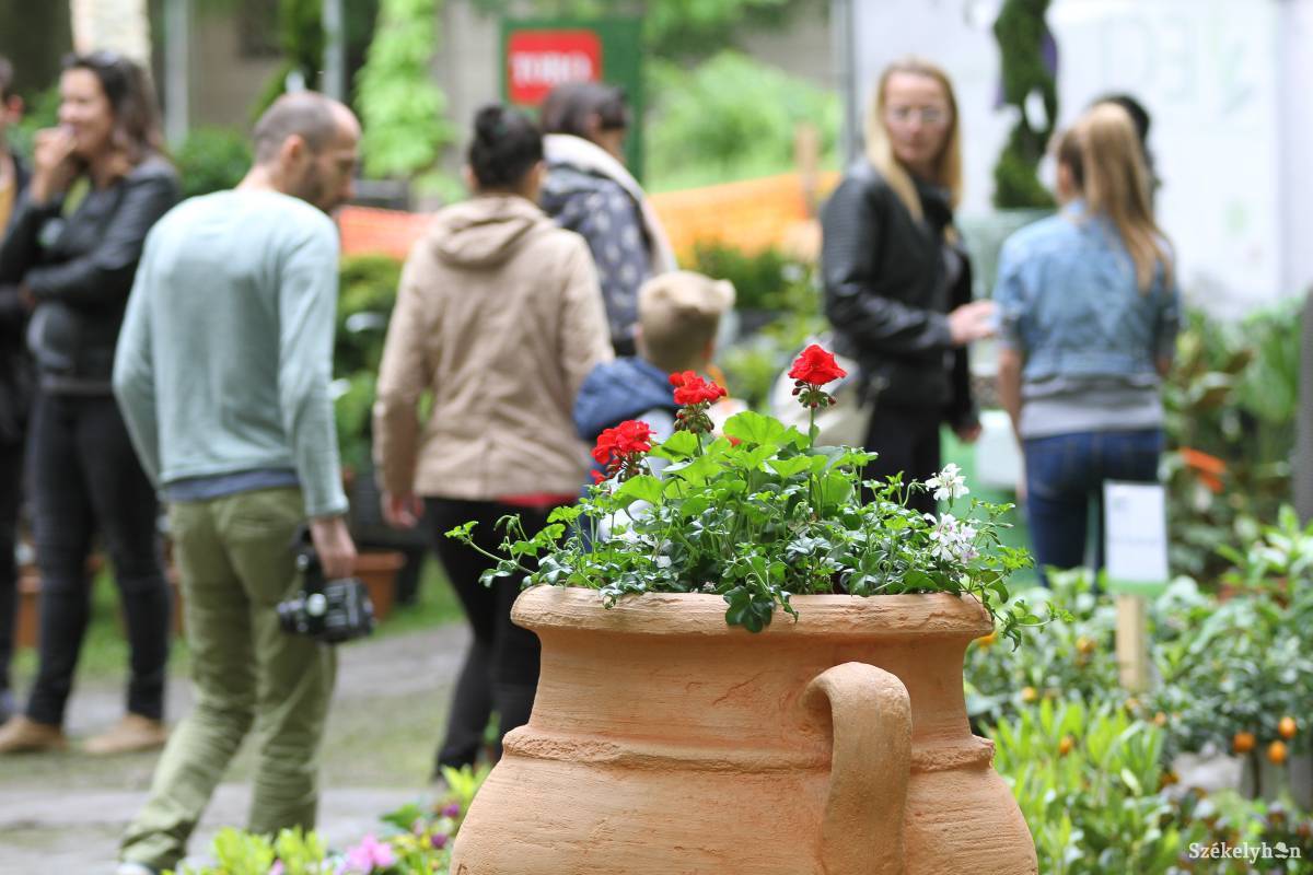 Archív &bullet;  Fotó: Pál Árpád