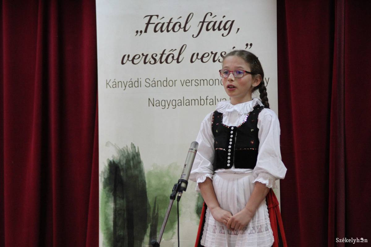 •  Fotó: Pál Árpád
