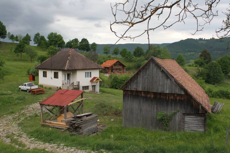 Ahová minden nap jár a medve