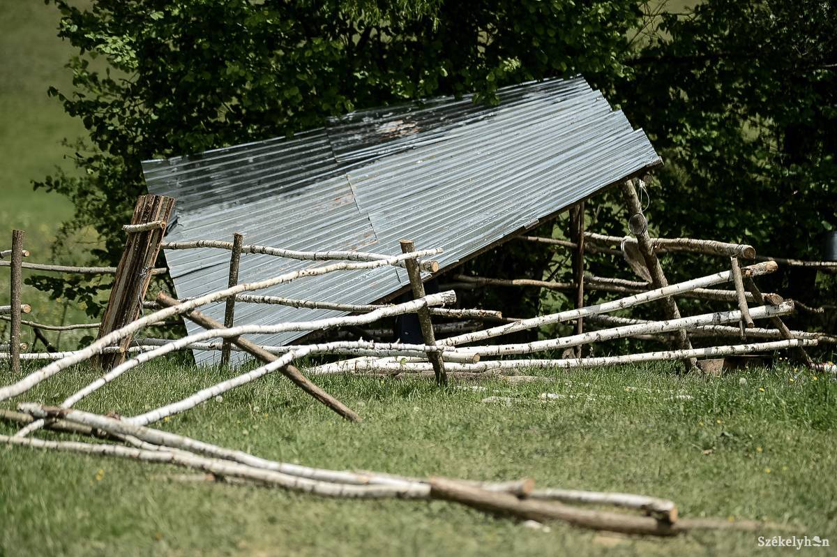Szinte teljesen szétverték az esztenát •  Fotó: Barabás Ákos