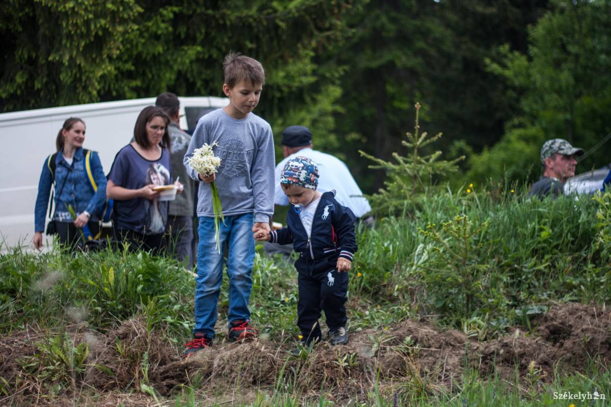 •  Fotó: Tamás Attila