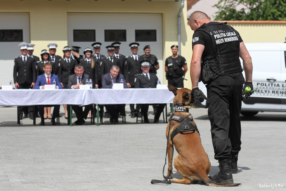 •  Fotó: Pál Árpád