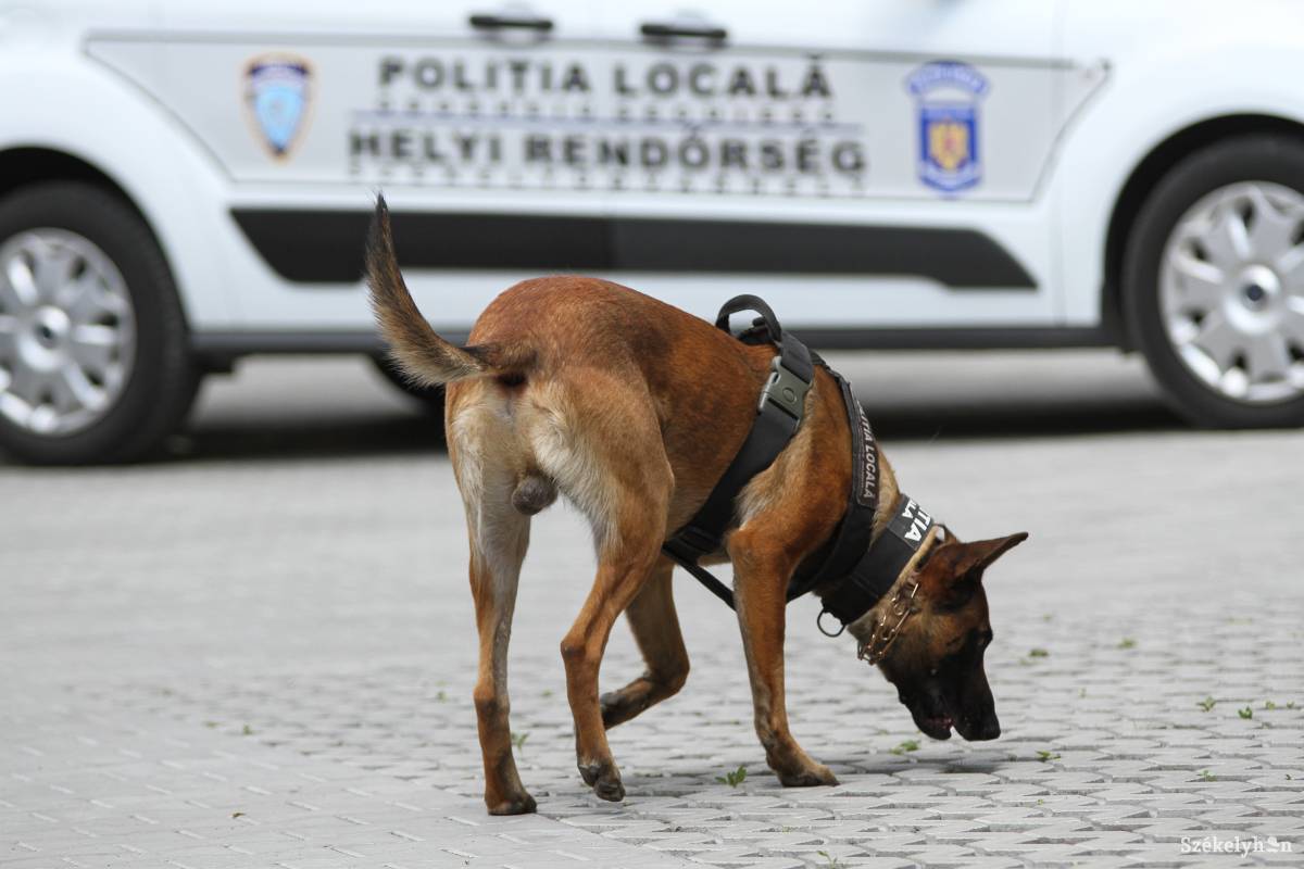 •  Fotó: Pál Árpád