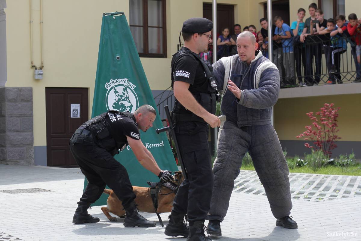 •  Fotó: Pál Árpád
