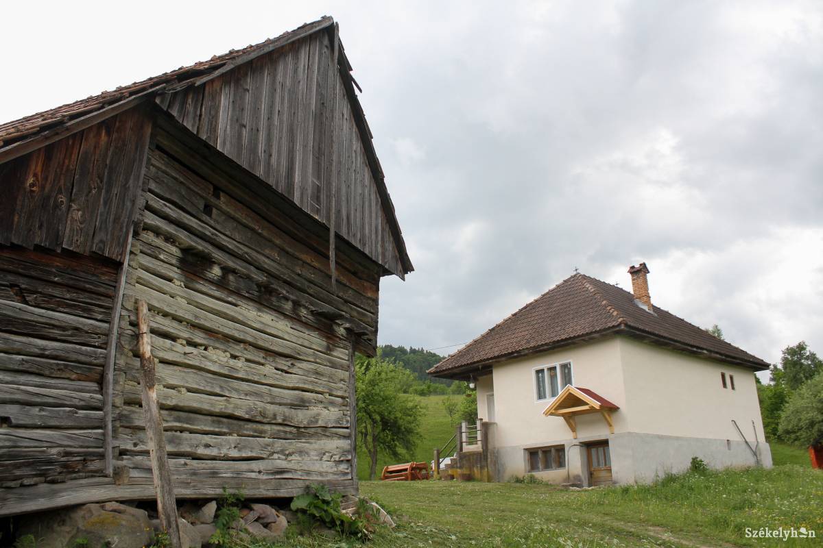 •  Fotó: Pál Árpád