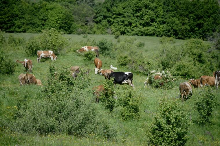 APIA: visszafizetéskor jelezni kell az egyedi pénzügyi azonosító számot