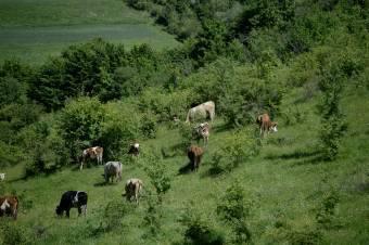 A gazdákat is megkérdezi a szakminisztérium a hegyvidéki stratégia kidolgozásához