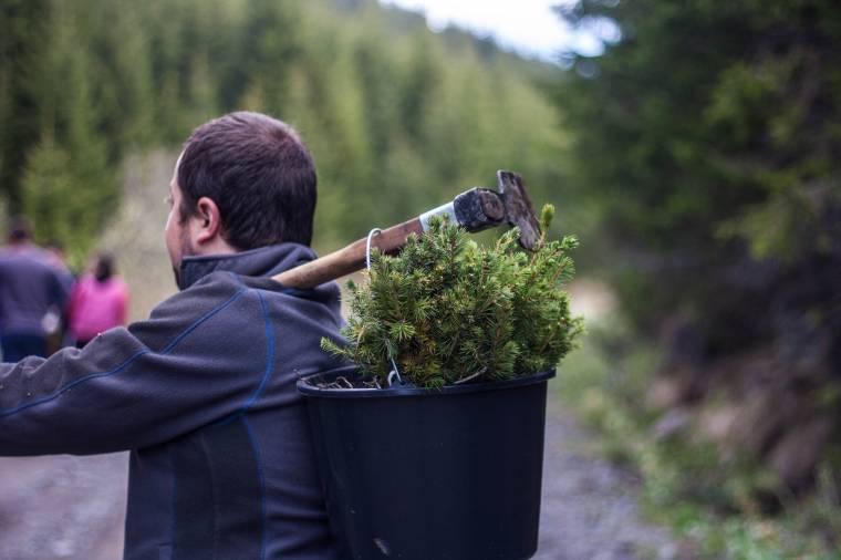 Újabb nagyszabású civil megmozdulást tartanak a szentegyházi erdőkért