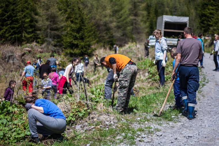 Faültetéssel gyógyították az erdő sebeit Szentegyházán