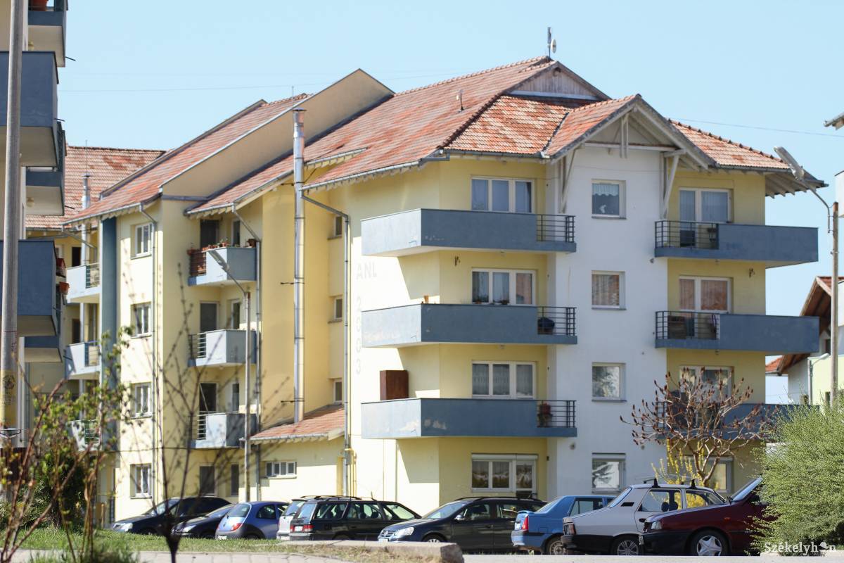 •  Fotó: Pál Árpád