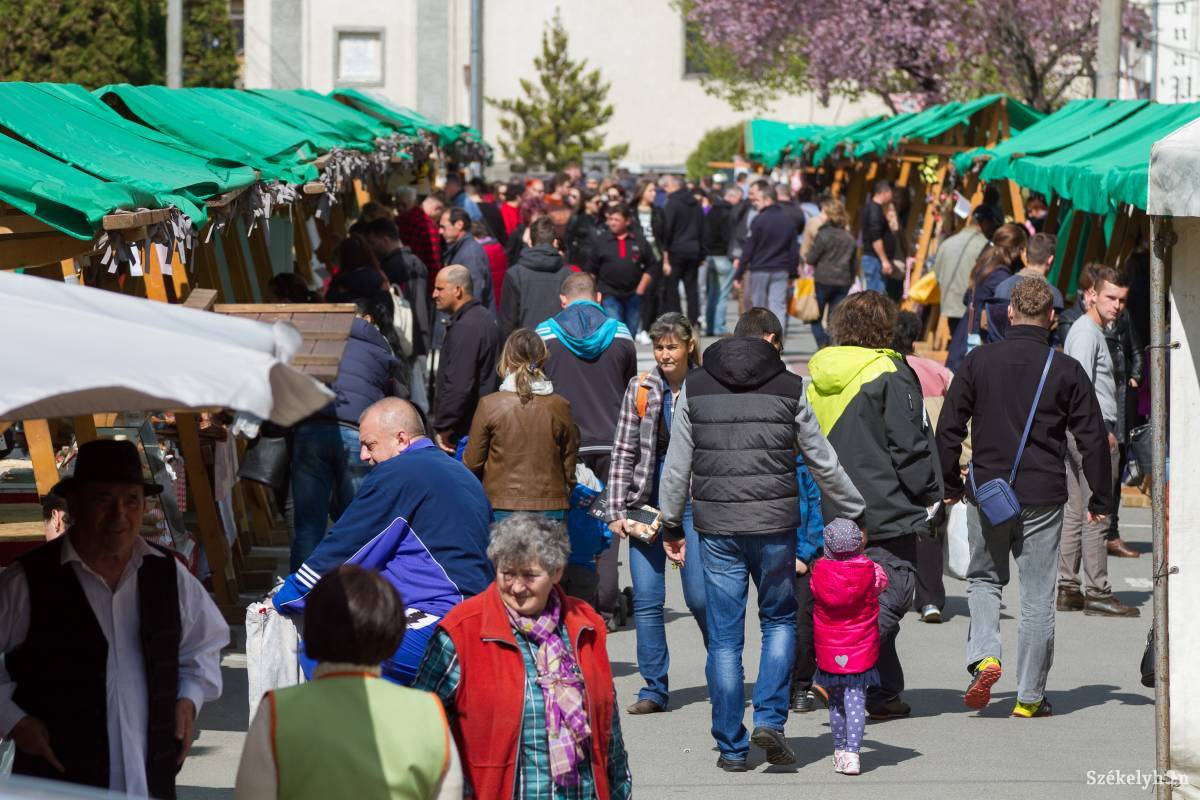 &bullet;  Fotó: Pál Árpád