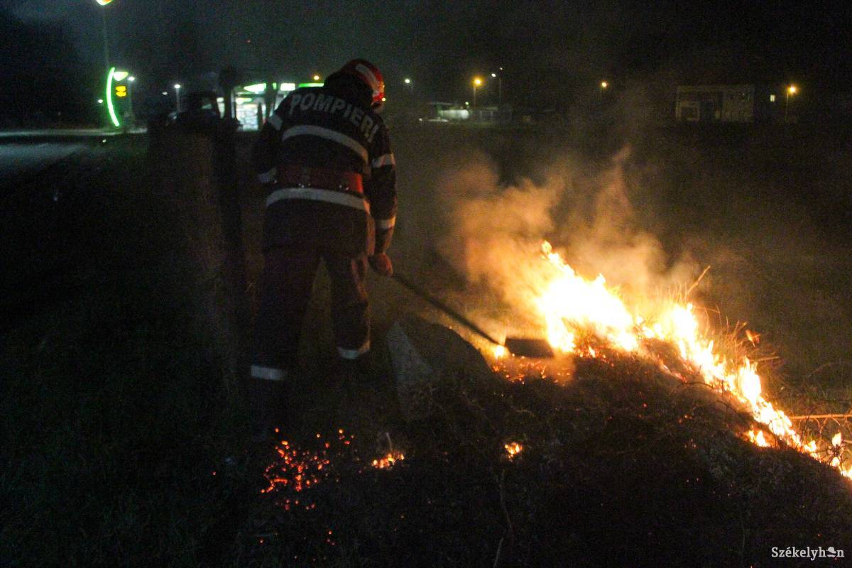 • Fotó: Pál Árpád
