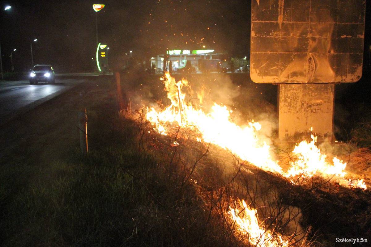 &bullet;  Fotó: Pál Árpád