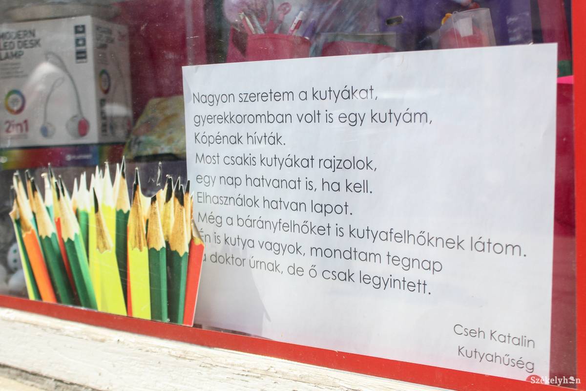 A papírbolt kirakatában a rajzolásról olvashattak az arra járók •  Fotó: Pál Árpád