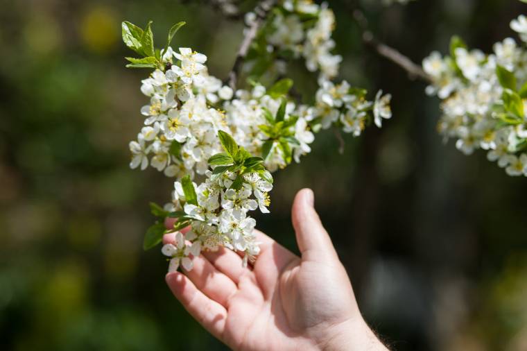 Az évszaknak megfelelő időjárás várható az elkövetkező két hétben
