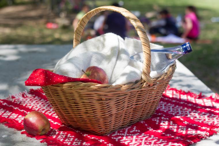 Beszélnünk kell a piknikezésről