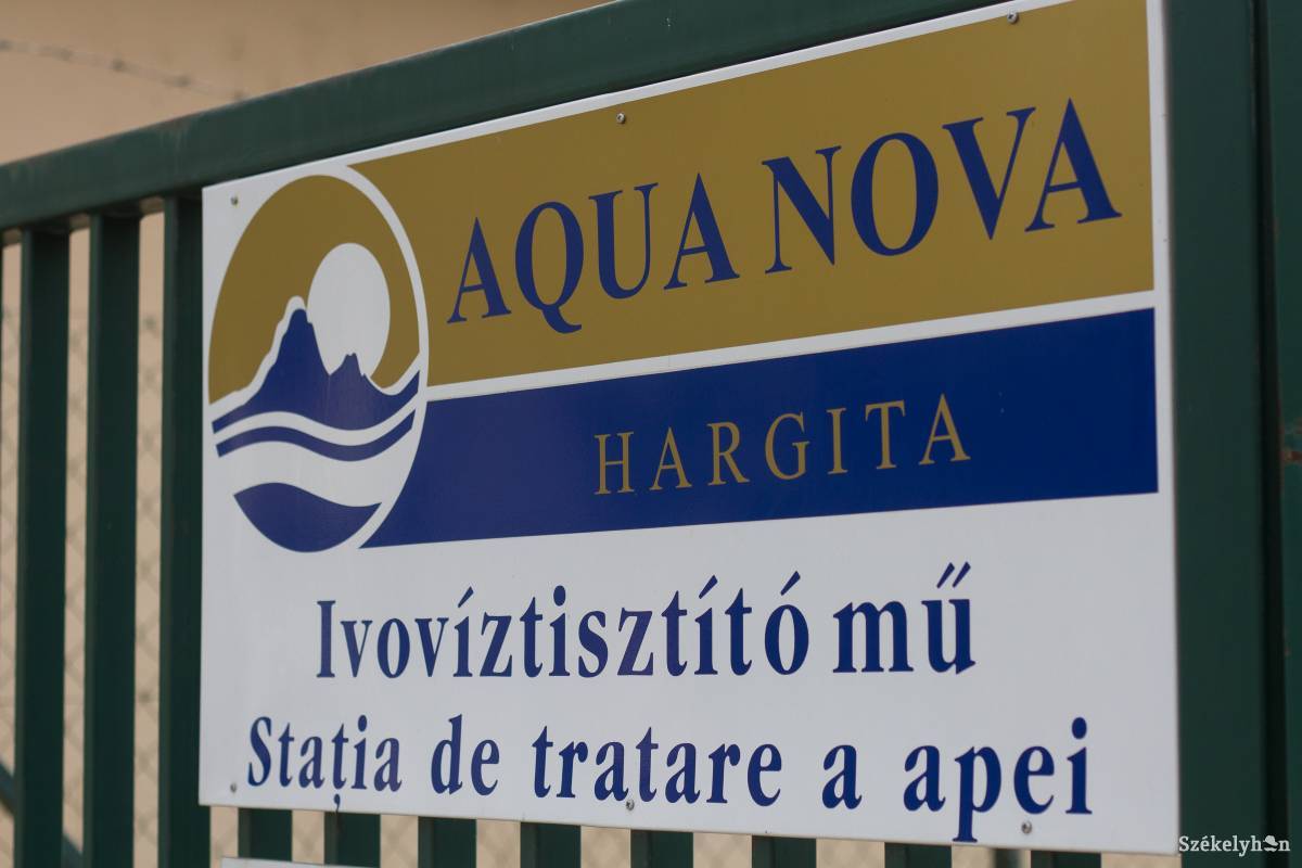 •  Fotó: Pál Árpád