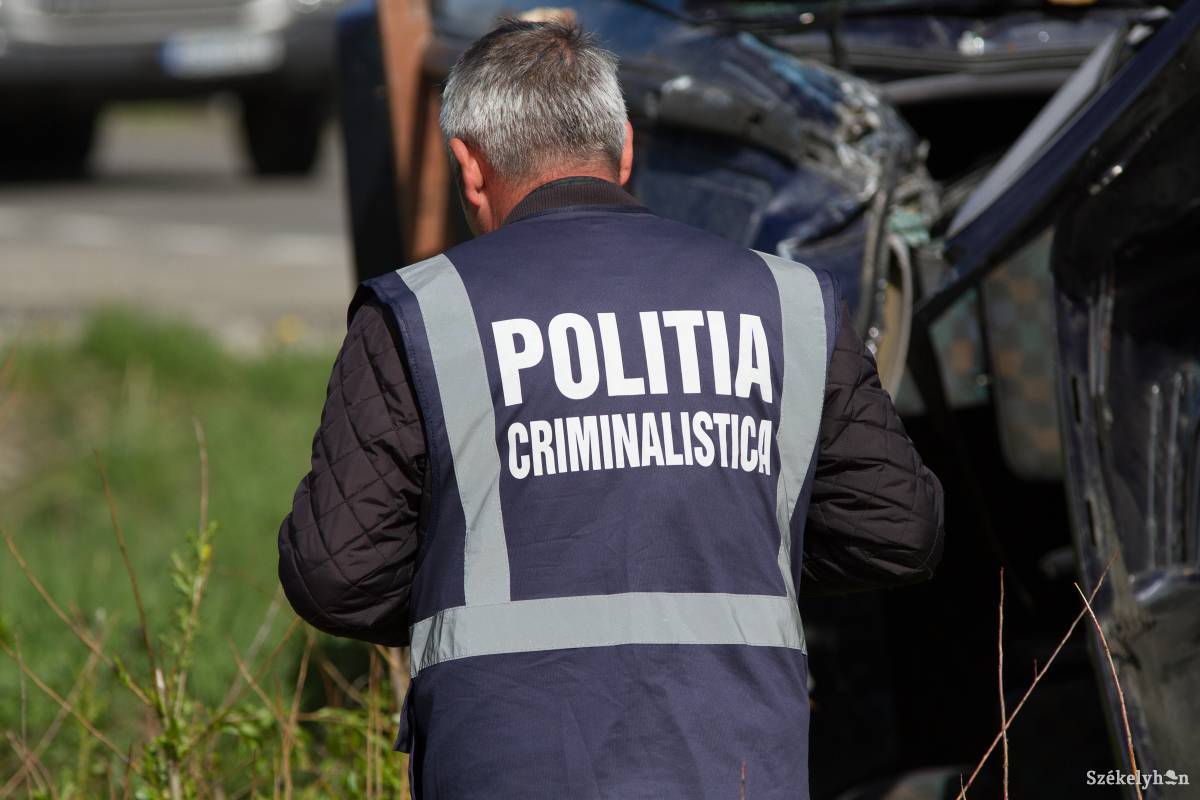 Illusztráció •  Fotó: Pál Árpád