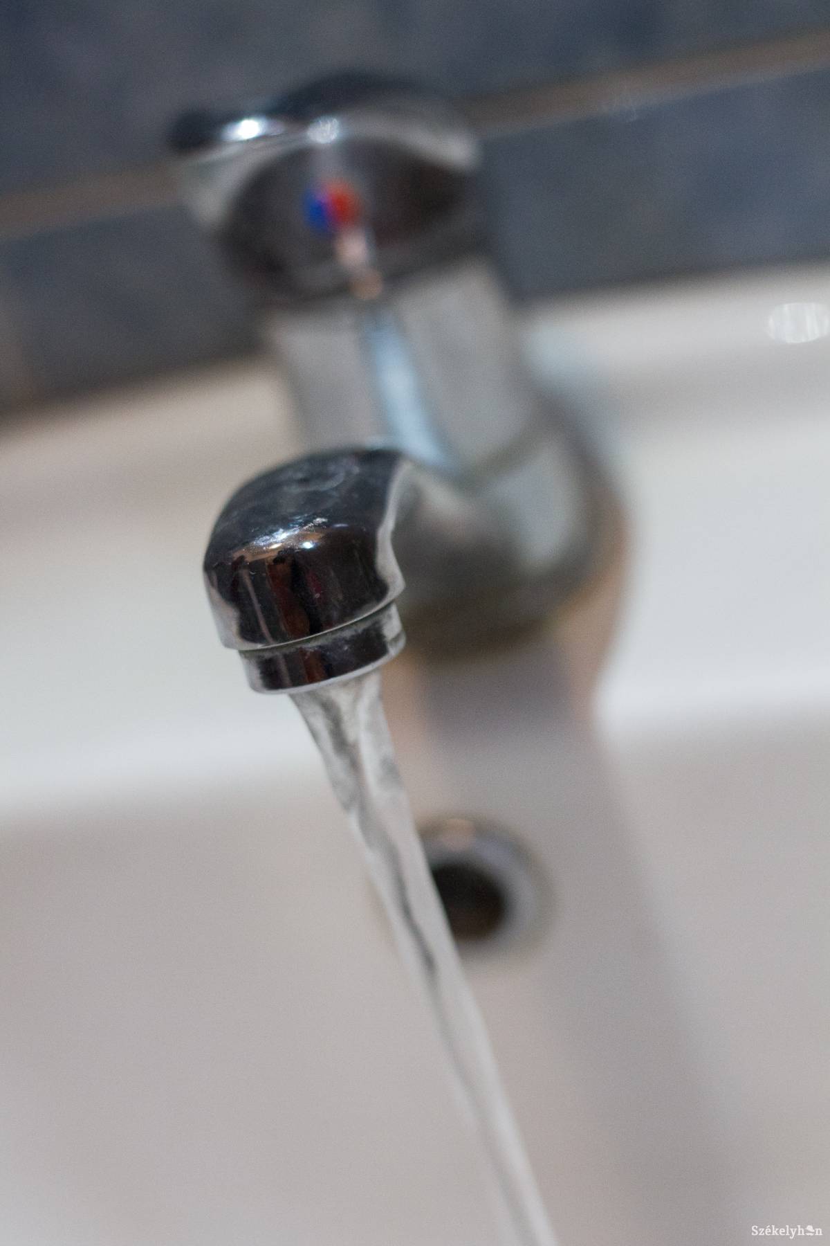 &bullet;  Fotó: Pál Árpád