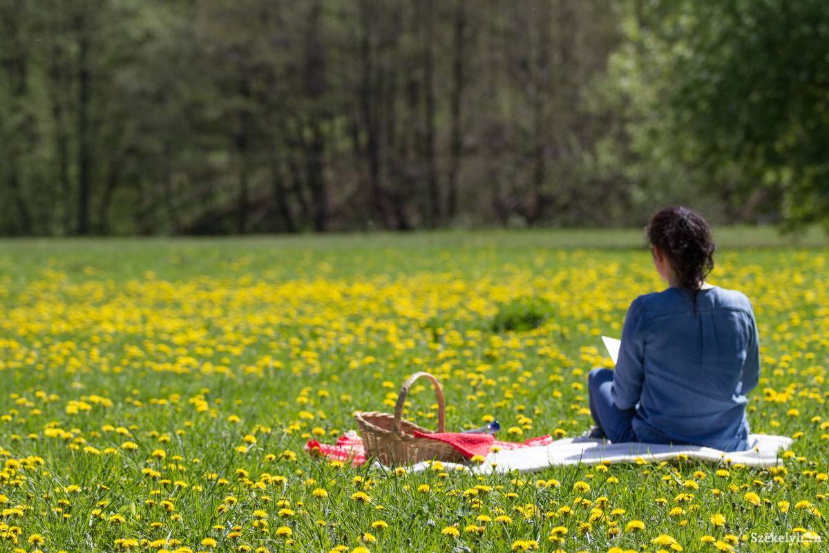 • Fotó: Pál Árpád