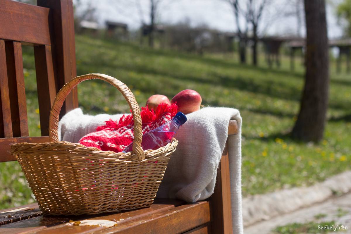 Számos piknikezőhelyre padokat helyeztek ki. Képünk illusztráció • Fotó: Pál Árpád
