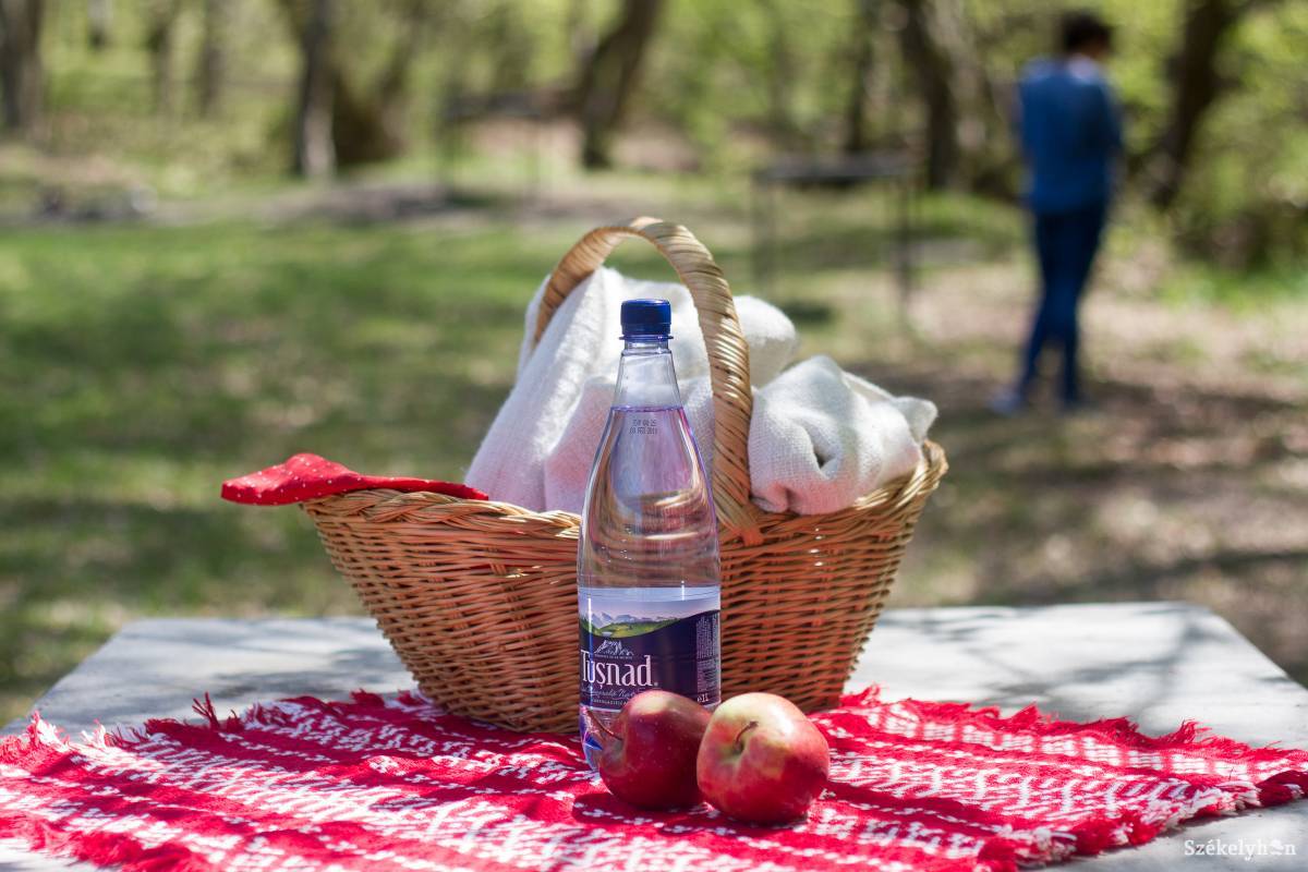 &bullet;  Fotó: Pál Árpád