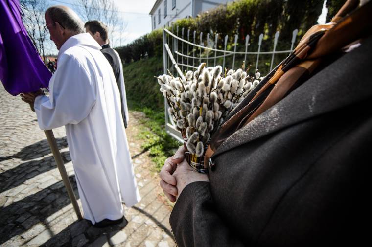Drágul a sertéshús: akár 30 százalékos emelés is jöhet