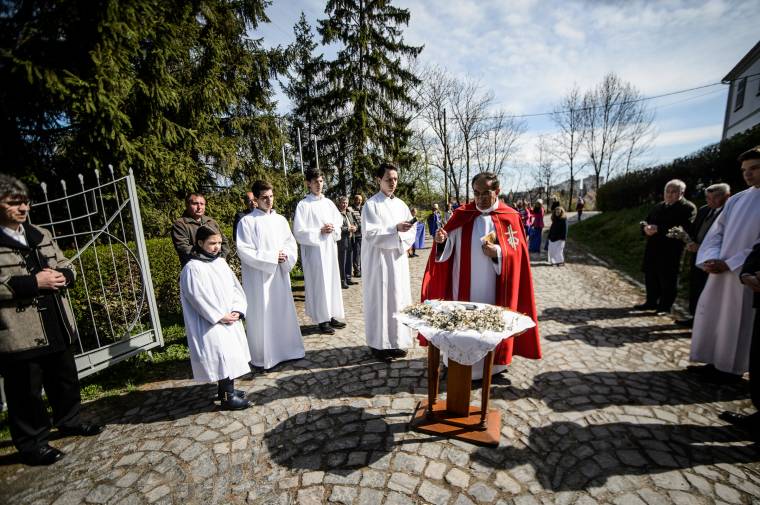 Világszerte egyre többen állnak ki a CEU mellett