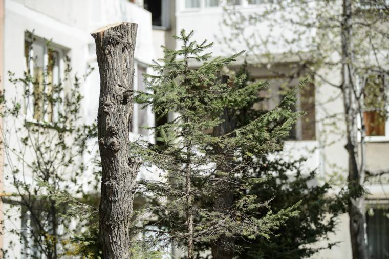 Nyilatkozatháború Orbán Viktor és a CEU-egyetem között