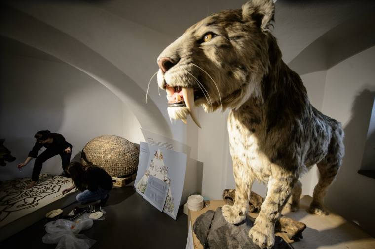 Udvarhelyre érkezett a Jégkorszak