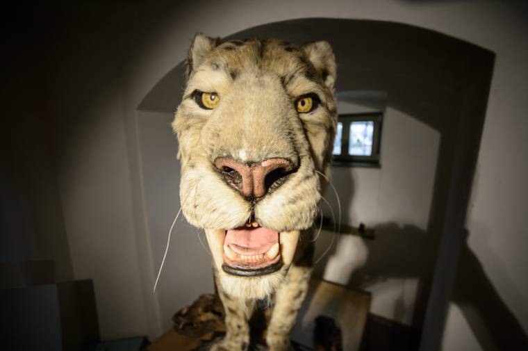 Villámcsődület a kolozsvári főkonzulátusnál egyetemügyben