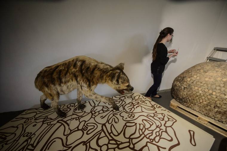 Folytatódhat a diószegi Zichy-kastély felújítása