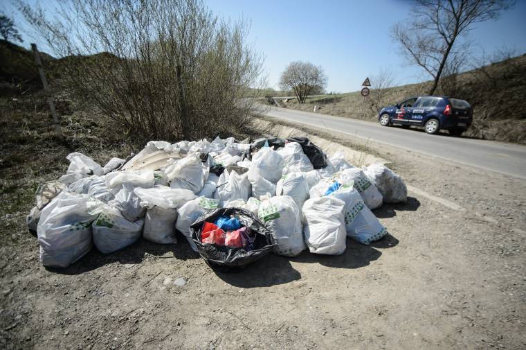 Ennivalóból készült díjnyertes műalkotás