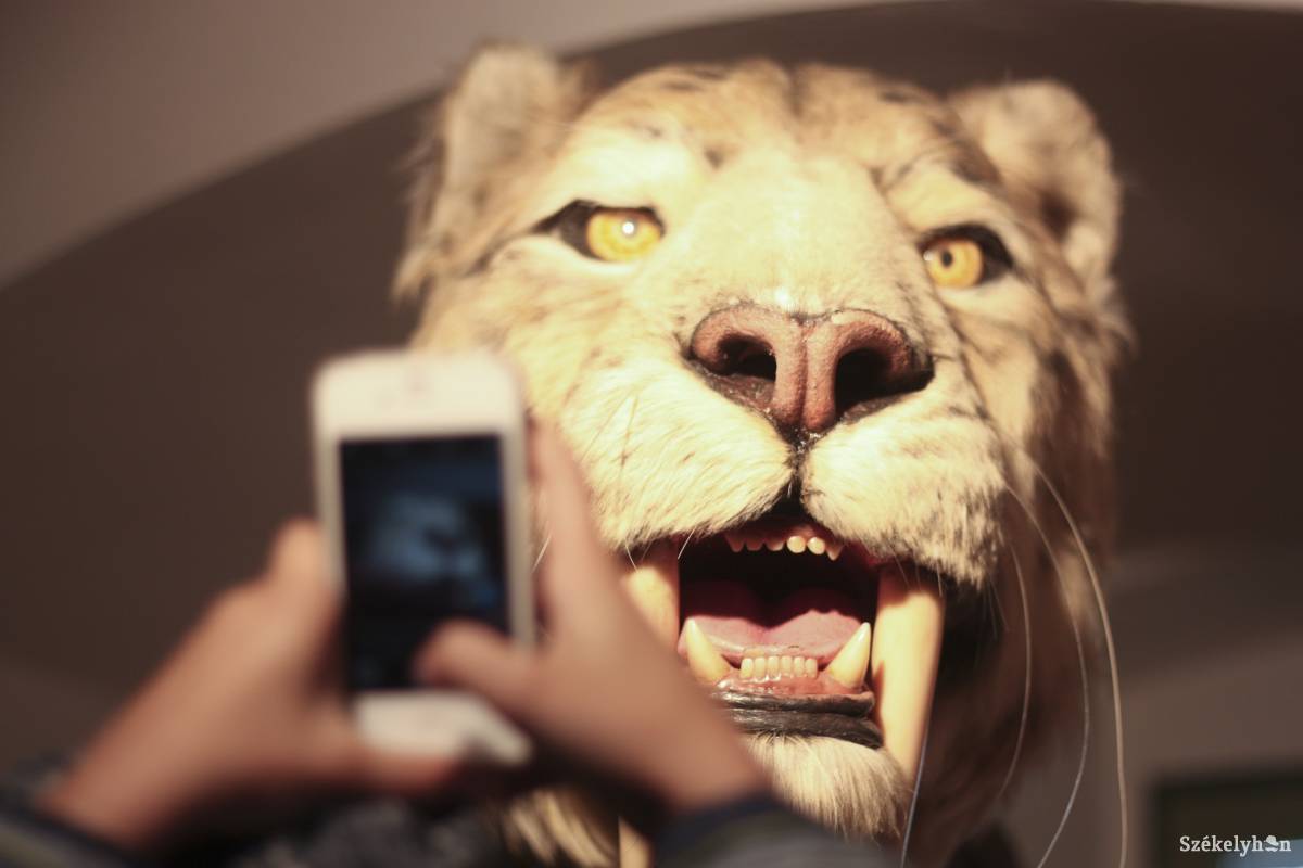 &bullet;  Fotó: Veres Réka