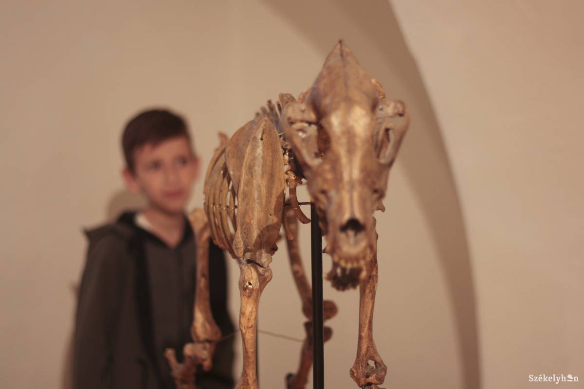 &bullet;  Fotó: Veres Réka