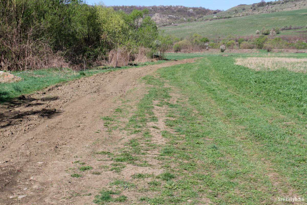 &bullet;  Fotó: Pál Árpád