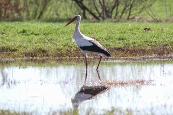 Itt a négyhetes előrejelzés: meg lehet szokni a szokatlant?