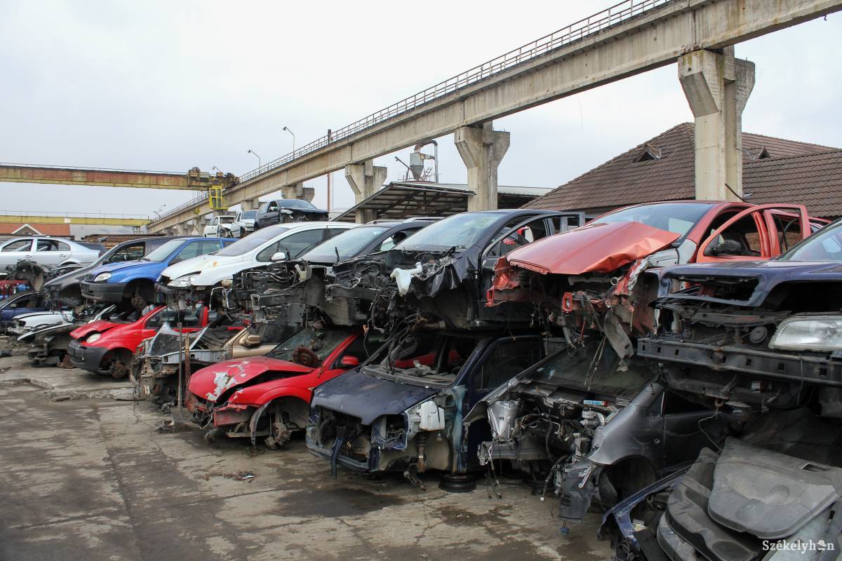 &bullet;  Fotó: Pál Árpád