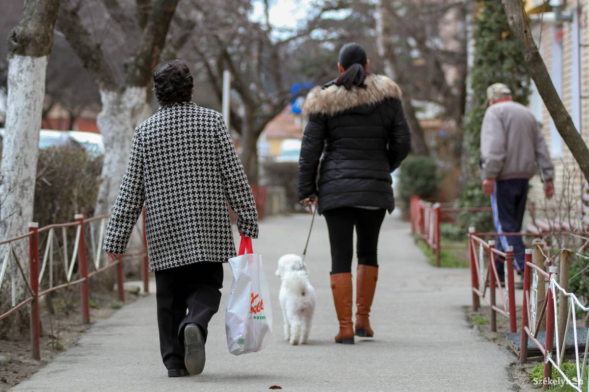 A kiszivárogtatott, még korántsem elfogadott korlátozás szerint a háziállat-sétáltatás, amennyiben otthonunkhoz közel történik, belefér. Képünk illusztráció •  Fotó: Pál Árpád