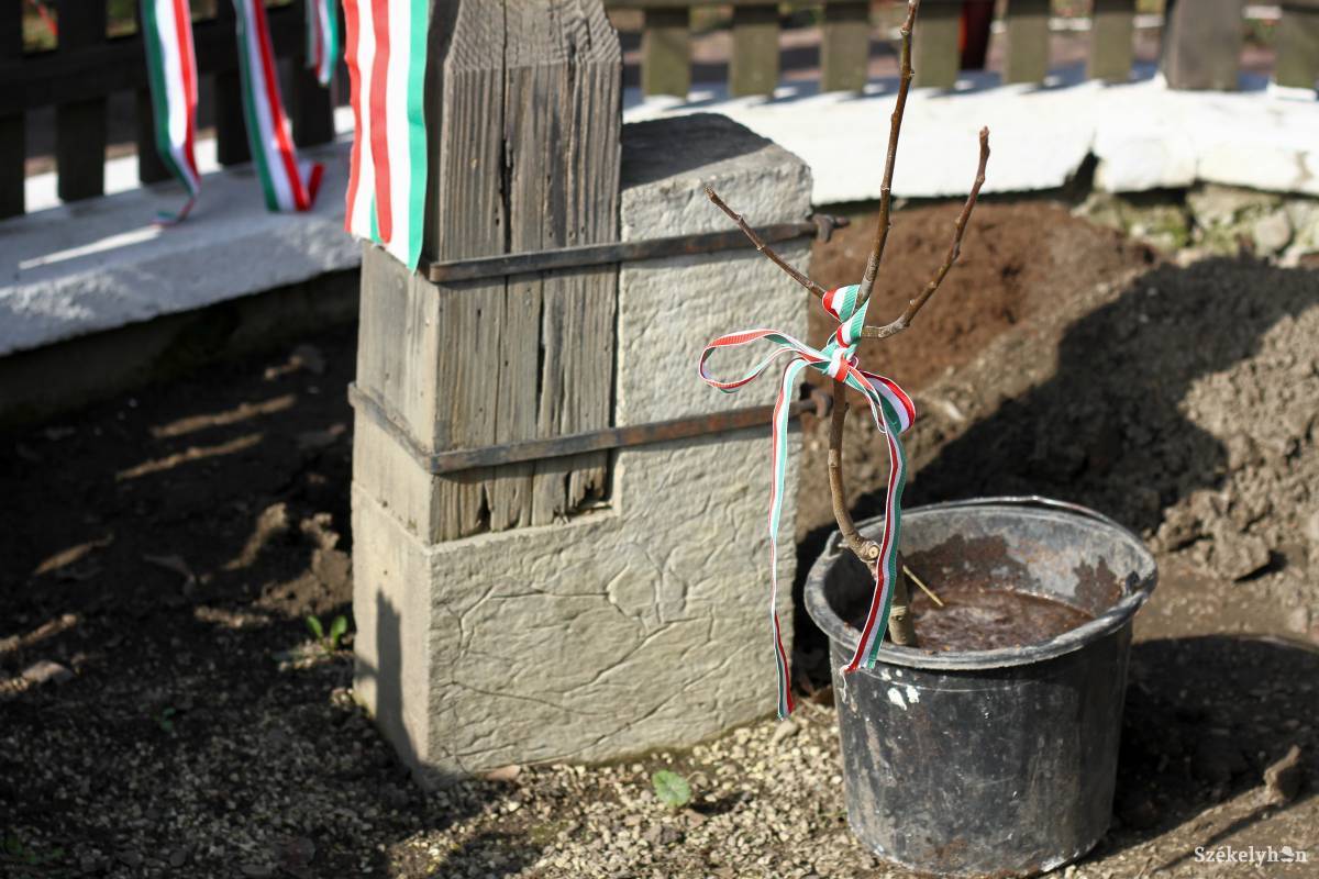 Csemeteültetés a Gyárfás-kúriában. Petőfi eszménye erősebb lett &bullet;  Fotó: Pál Árpád