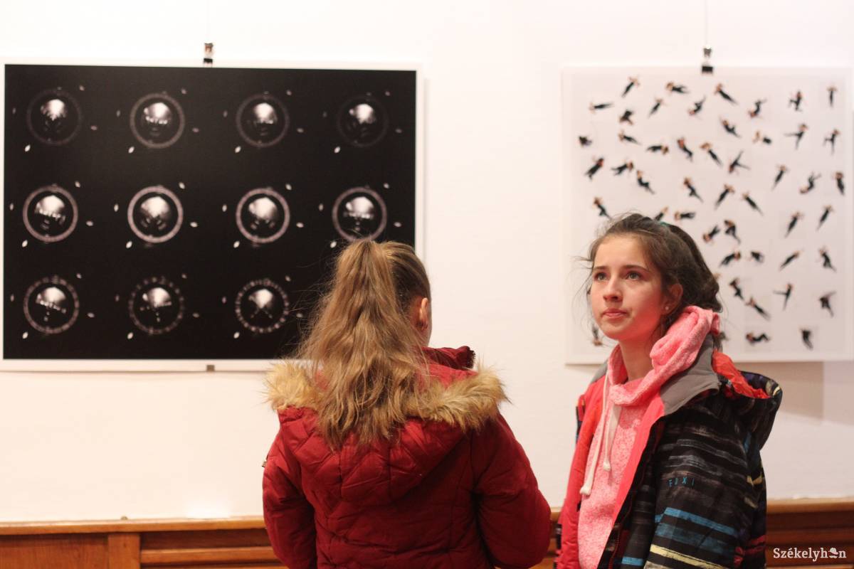 •  Fotó: Pál Árpád