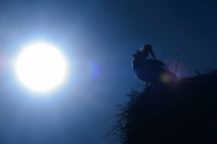 Megmenekülhet a vásárhelyi katolikus iskola