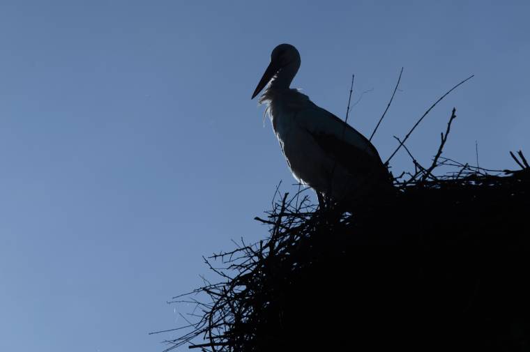 Hamarosan föld alá kerül a pataréti szeméttelep