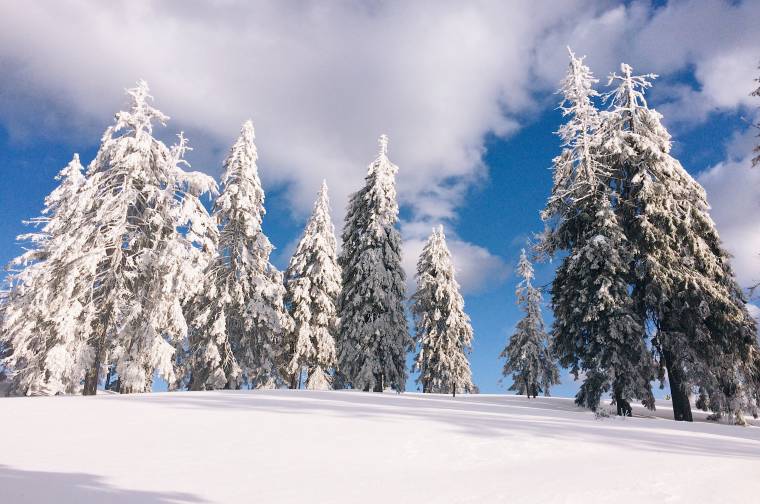 Csak románul „tud” a megújuló marosvásárhelyi állomás