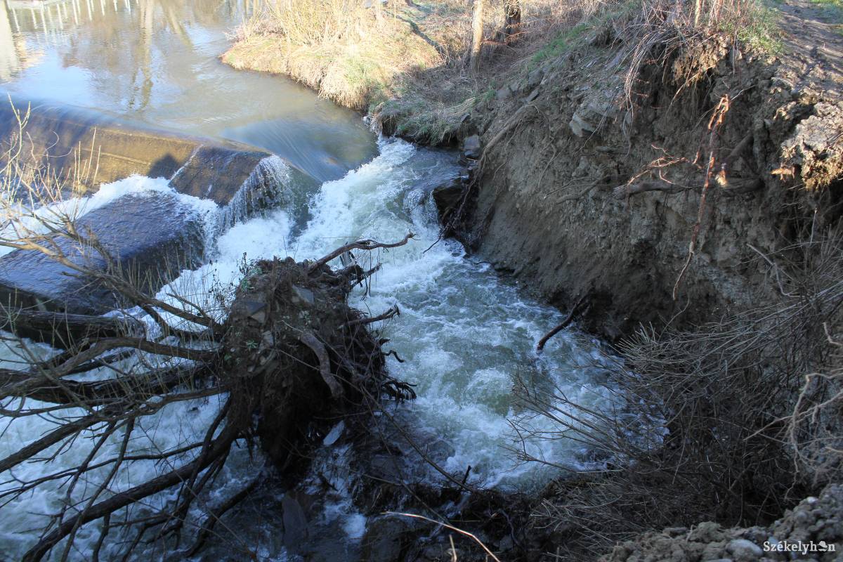 &bullet;  Fotó: Pál Árpád
