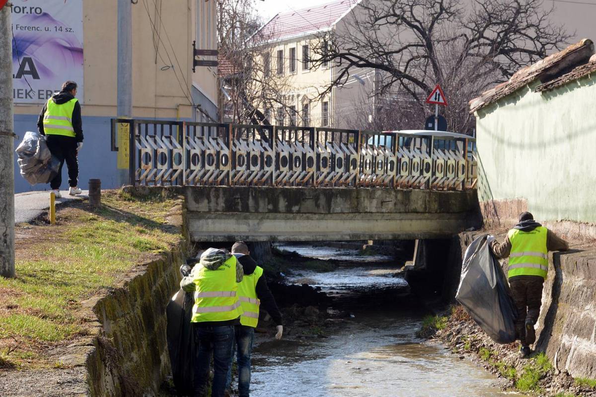Tizennégy köbméter szemetet gyűjtöttek össze •  Fotó: Lőrincz Csaba/Székelyudvarhely Polgármesteri Hivatala