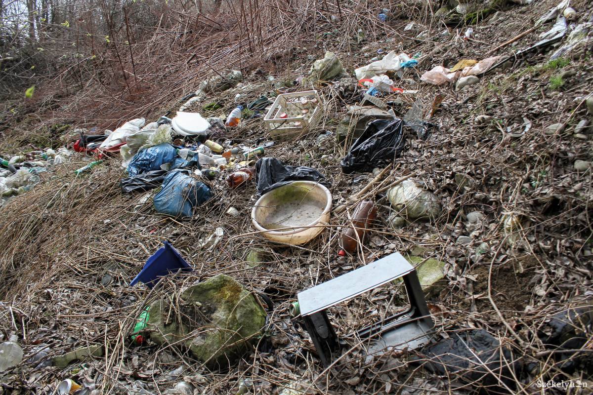 &bullet;  Fotó: Pál Árpád